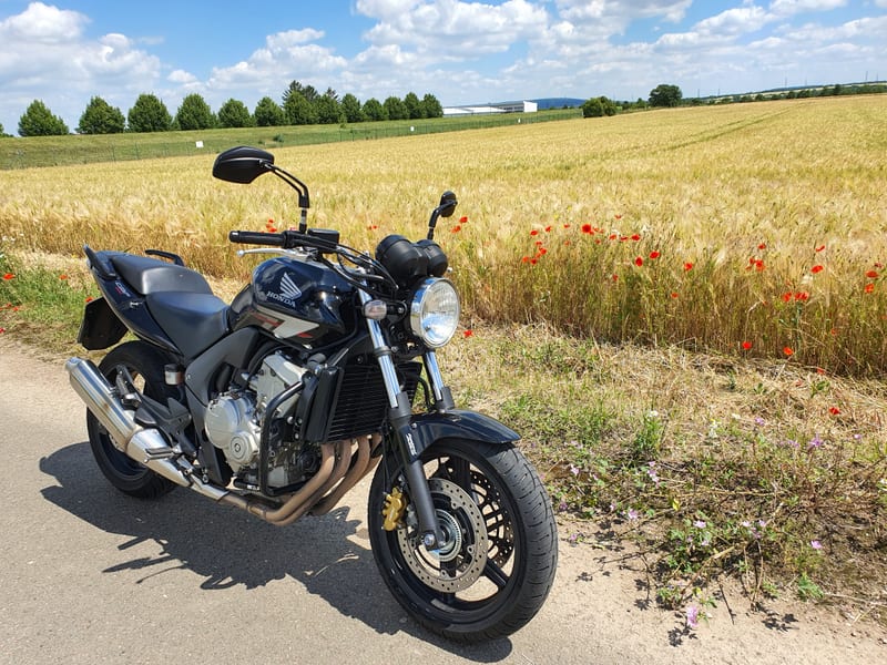 Schwarze Honda als Ausbildungsmotorrad der Klasse A am Getreidefeld